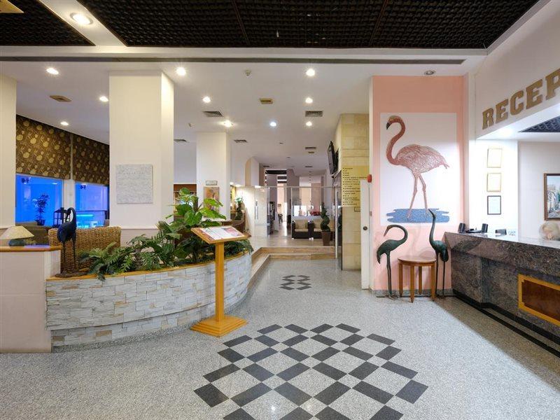 Flamingo Beach Hotel Larnaca Ngoại thất bức ảnh