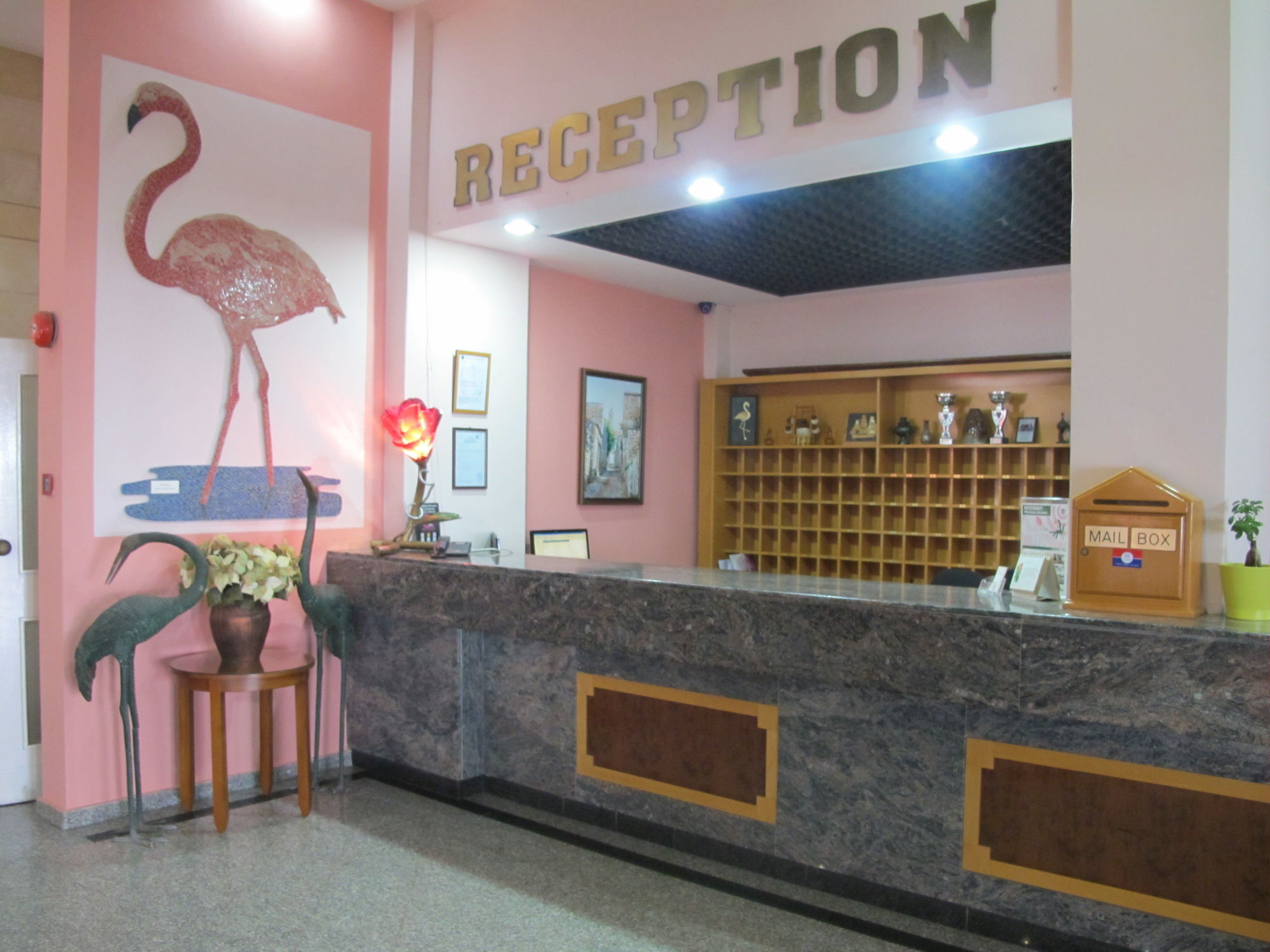 Flamingo Beach Hotel Larnaca Ngoại thất bức ảnh
